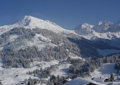 Impressionen im Winter