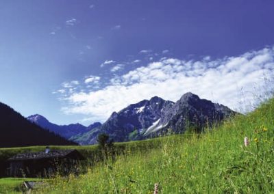 Impressionen im Sommer