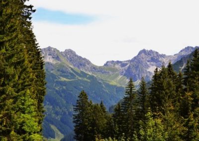 Impressionen im Sommer